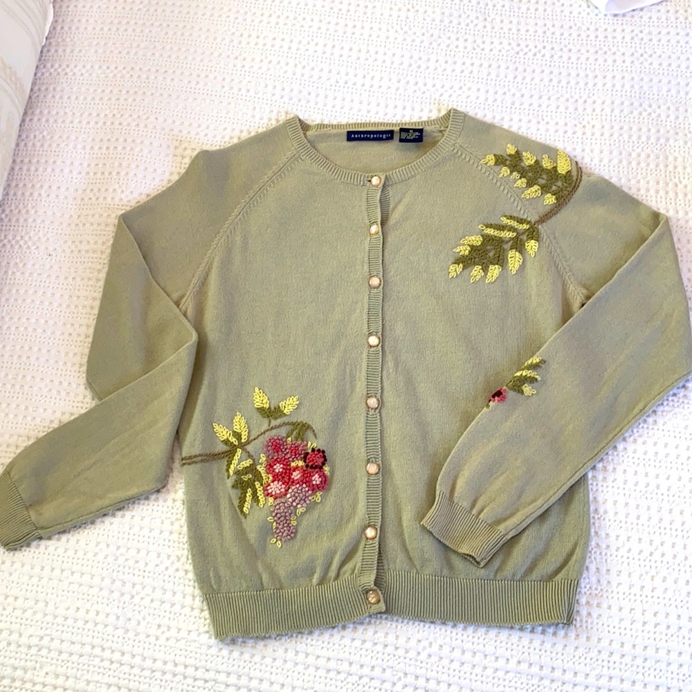 Anthropology Dragonfly Rare Embroidered Sweater